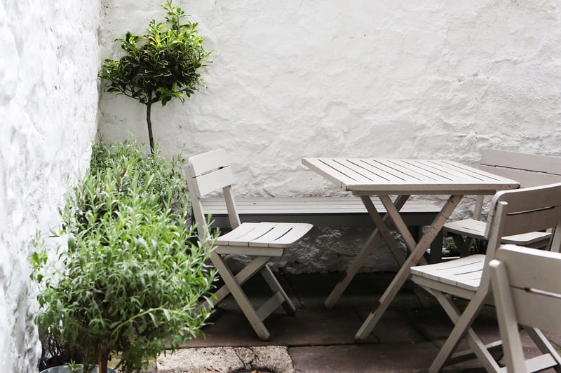 Patio Plants