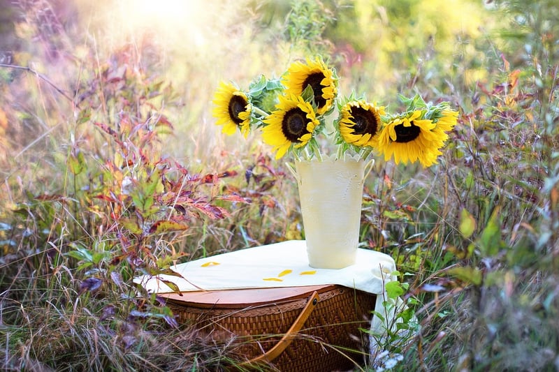 Flower garden