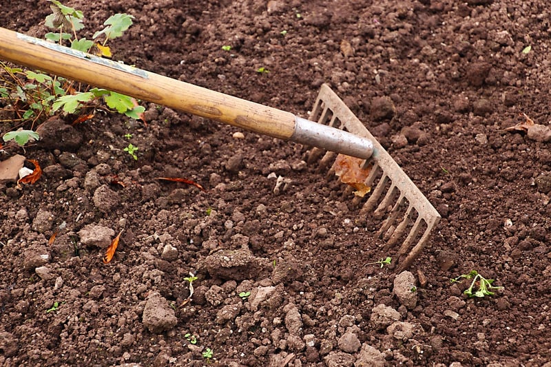 Landscaping Services